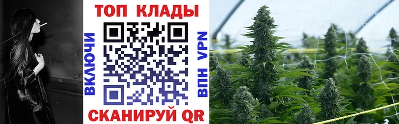 Где купить Онега Alpha PVP Гашиш Марихуана