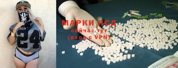 дмт Верея